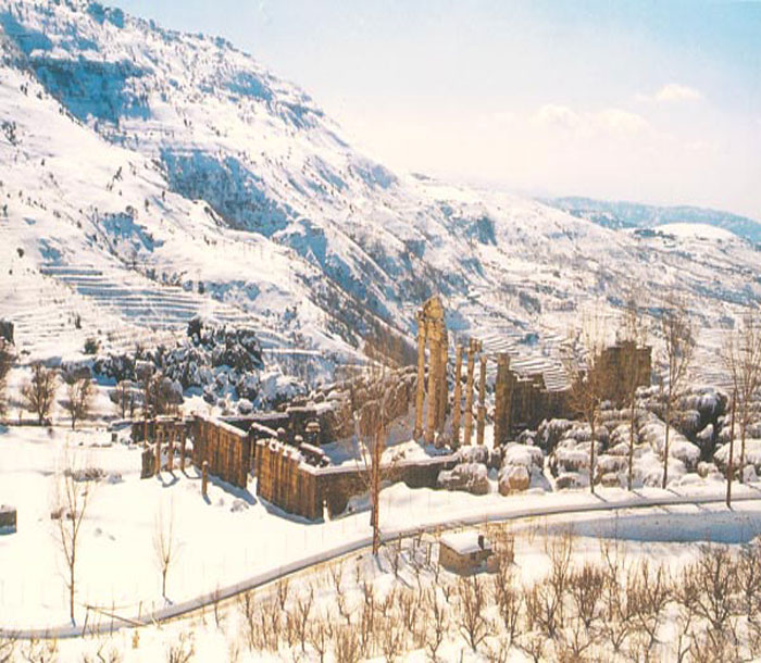 free ecards, happy new year card, seasons greetings, lebanon free ecards, send card to friends, gree